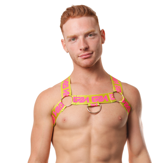 GarƧon Espanola Circuit Harness